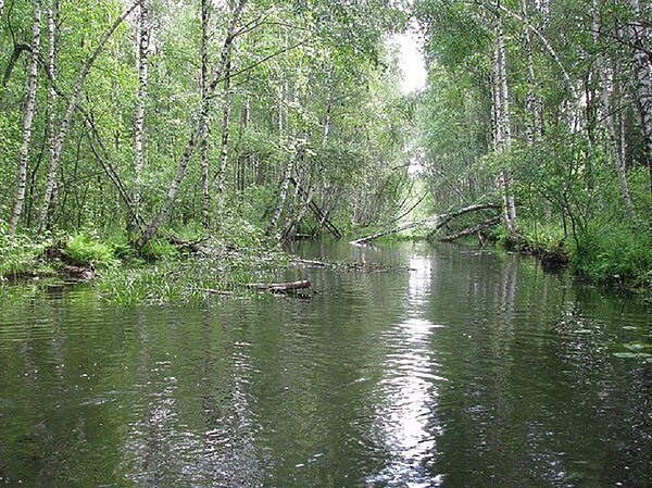     Канал от Онуфриево у озеру. Фото: с сайта rusfishing.ru.