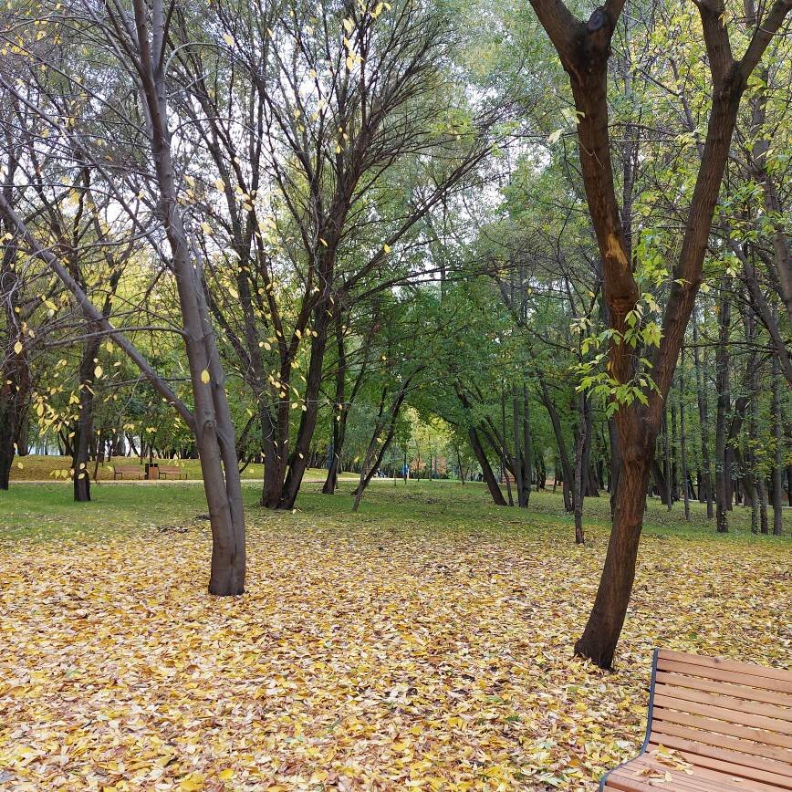 Осень на Яузе еще не совсем осень, много зеленых деревьев