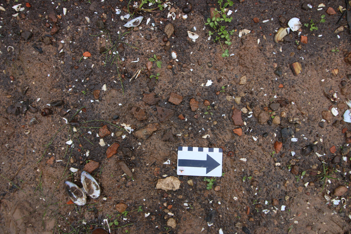 Найдёшь артефакт в кадре?