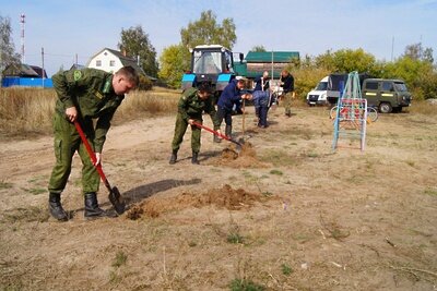    Рябиновая аллея в поселке Луховиц © Сайт Комитета лесного хозяйства Московской области