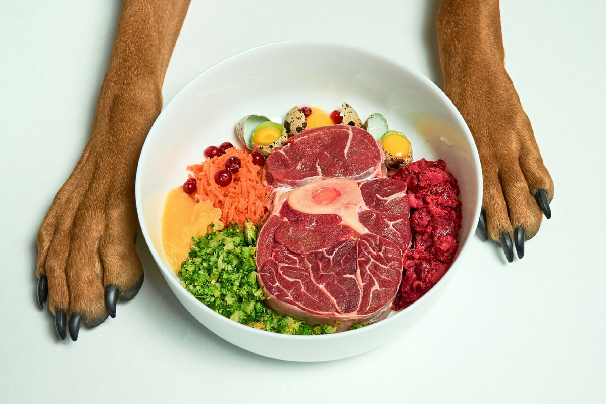 Натуральное питание. Барф рацион. Миска с мясом. Diet Barf Raw Dog food мясо и овощи. Питание Barf фото.