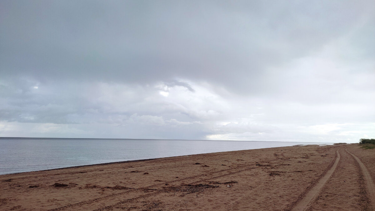 Пляж в Коккорево Ленинградской области: как добраться, отзывы, фото, цены