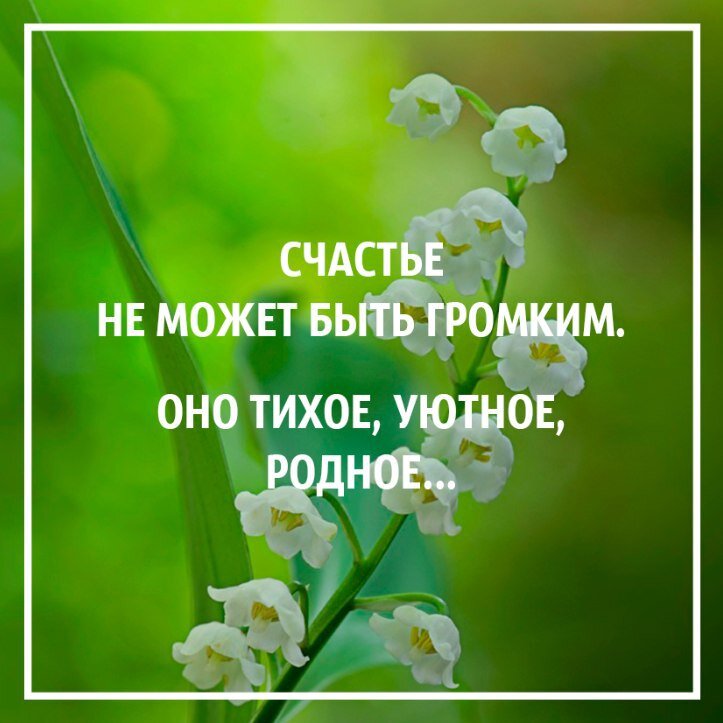 Счастье не может быть громким оно тихое уютное родное картинки