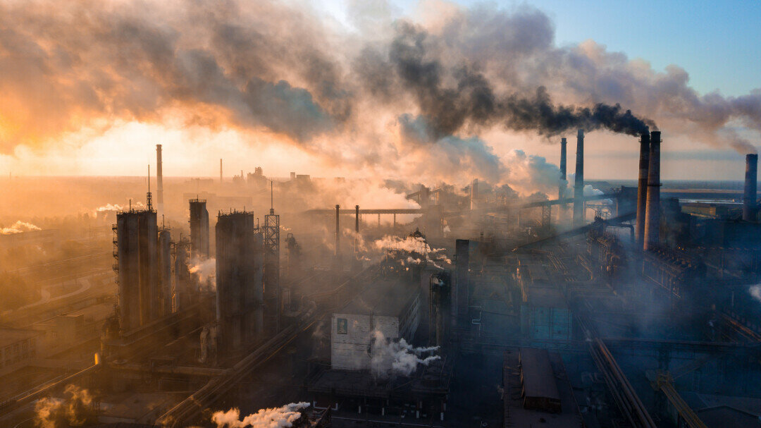    Фото: TR STOK/shutterstock