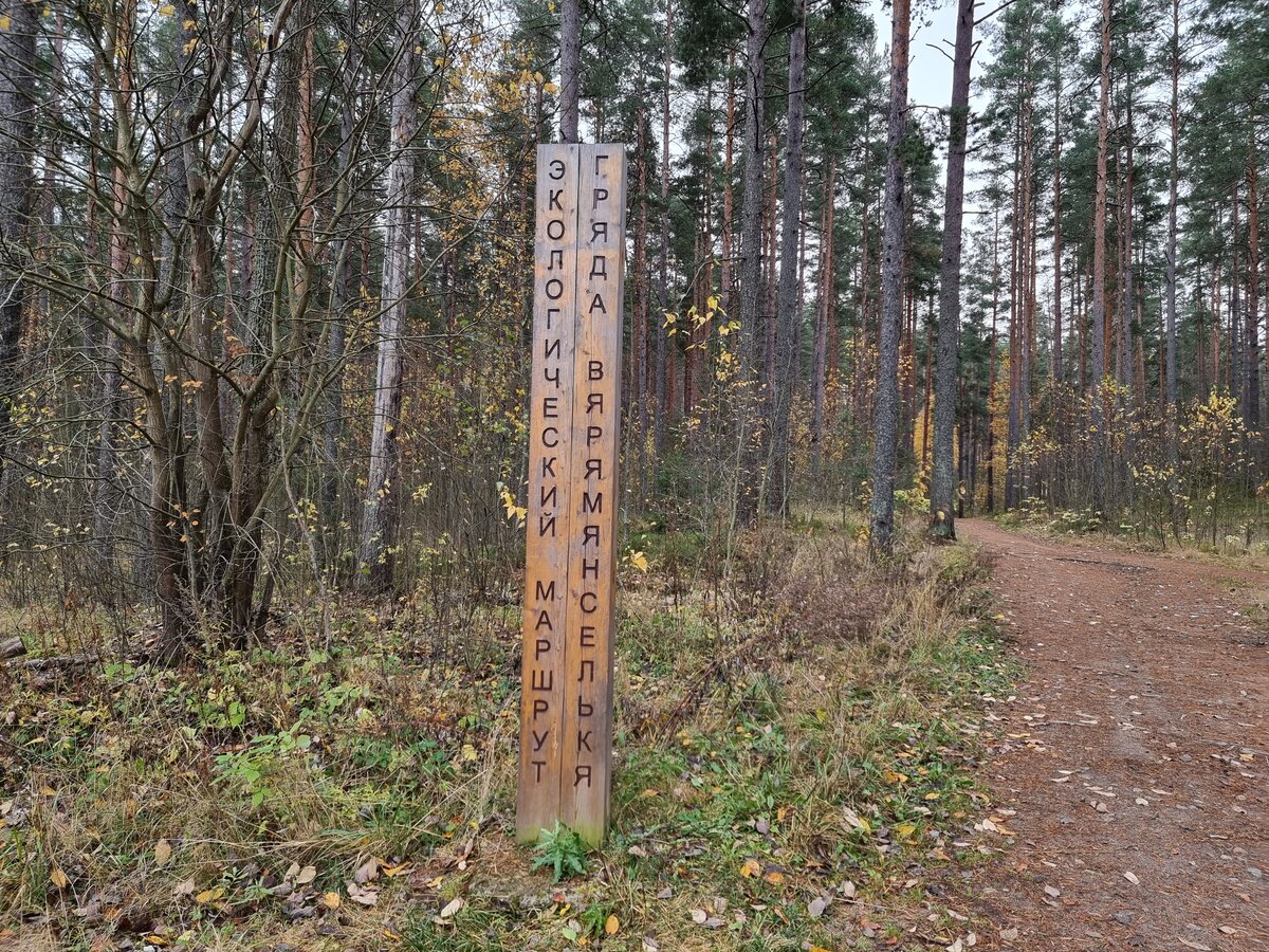 В последнее время многие настолько устают от общего новостного фона, что хочется закрыться от всего и хотя бы день или два в неделю не видеть и не слышать совсем ничего.-2