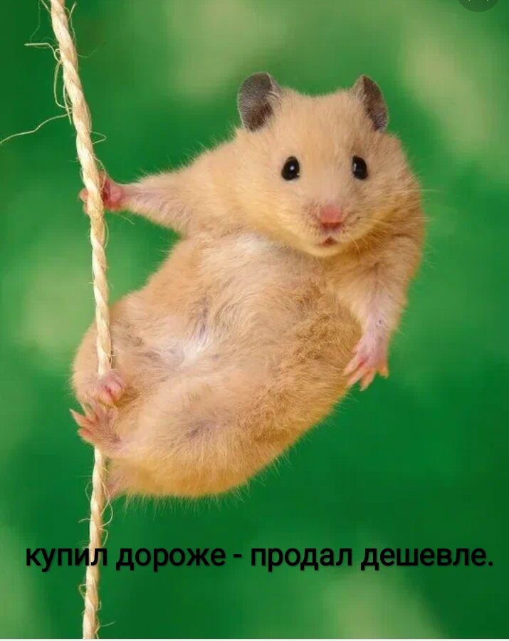 Принцип хомяка