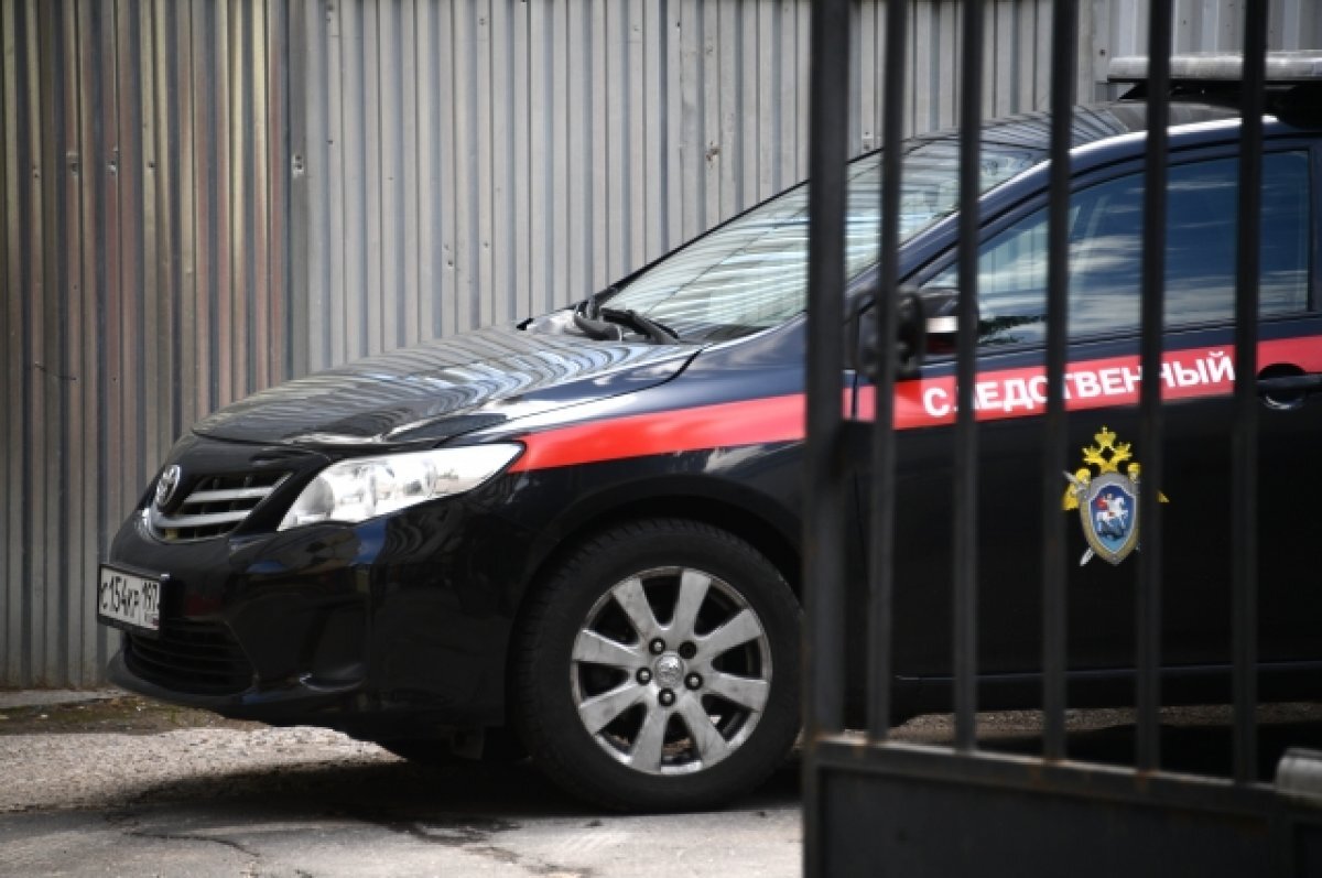    Уголовное дело об убийстве возбуждено после инцидента в школе Рыбинска