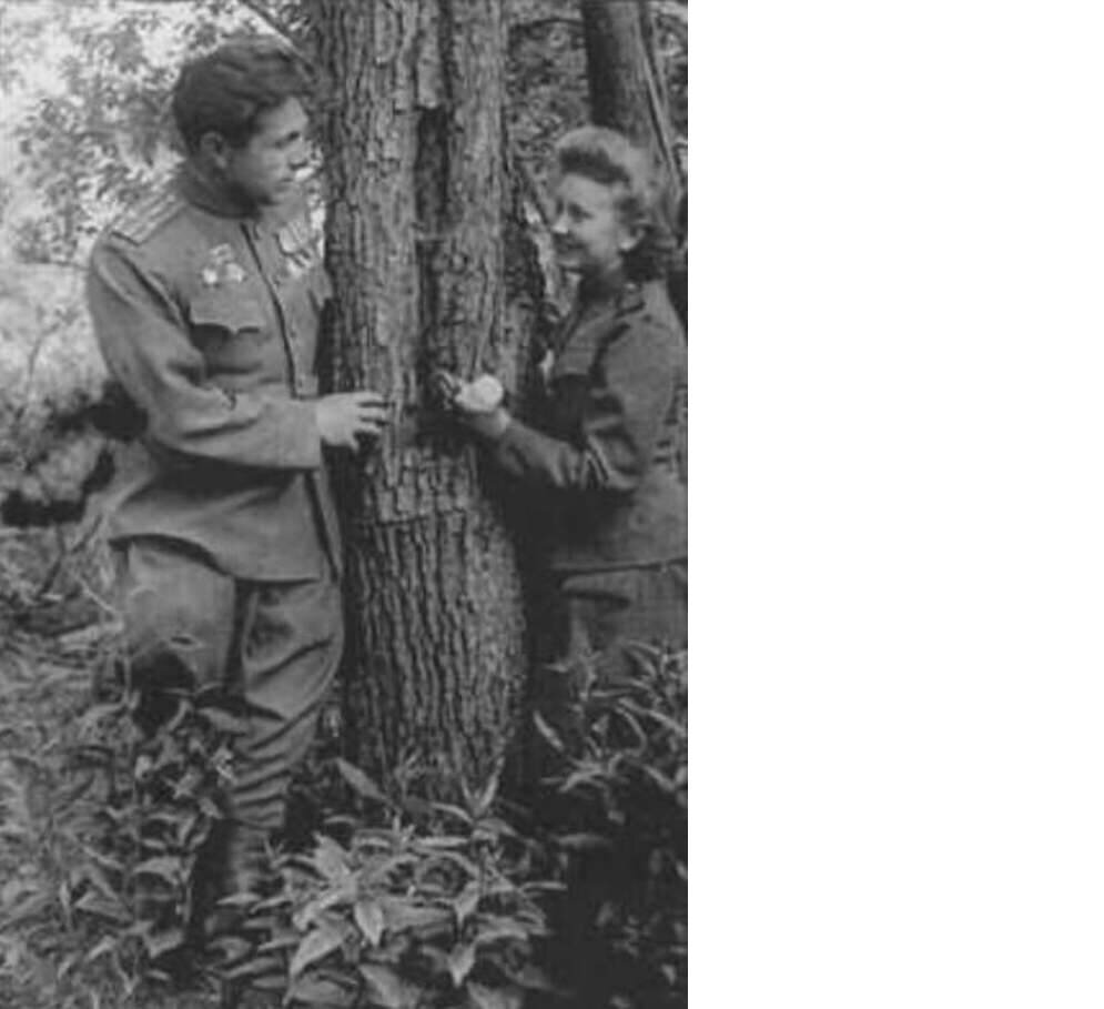 Источник: Яндекс. Картинки https://goo.su/agscPb