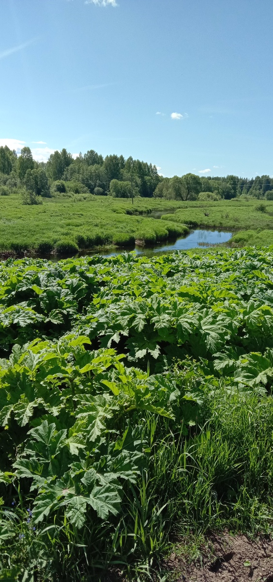 Слово река состоит из двух всего слогов РЕ И КА. Почему это красивое, чарующее явление природы называется именно так по-русски, материалистическая филология с кучей нобелевских лауреатов, стыдливо умалчивает. Почему? Потому что эта наука чисто материалистична и отрицает дух и душу в человеке, как и другие материалистичные, не от Бога, науки. 