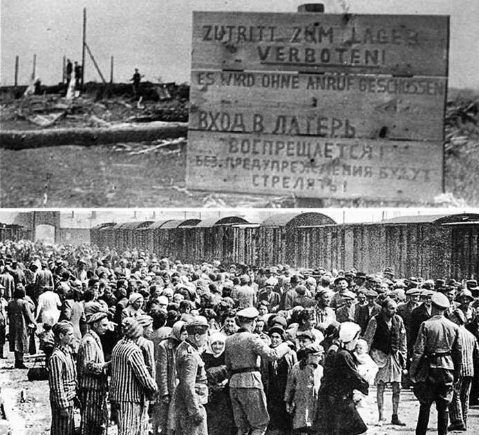 Для решения"еврейского вопроса" на территории оккупированной Белоруссии было создано 377 гетто(жилые зоны для изоляции от нееврейского населения). Уничтожено более 800 тысяч евреев.