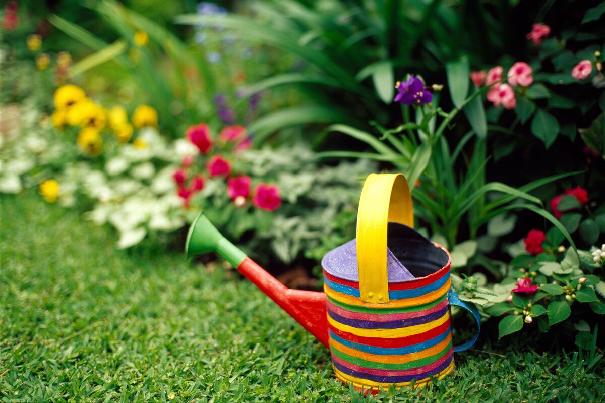     Какие бывают цветники и как их создать на дачном участке