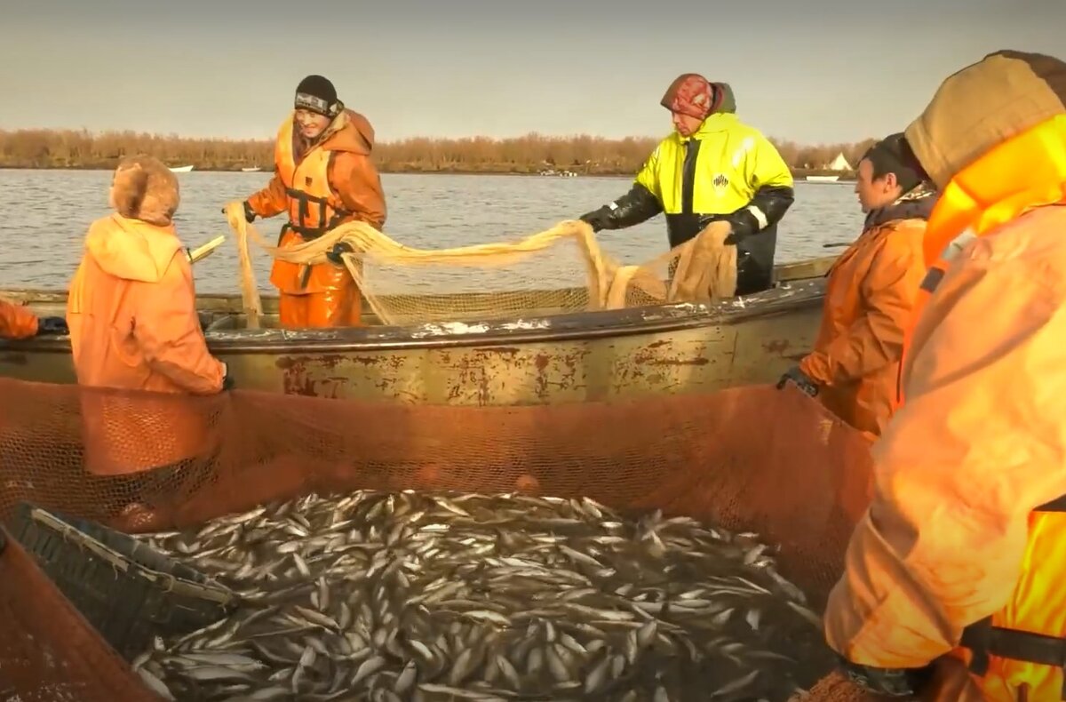 Как рыбачат ханты и ненцы (2 часть) | ЯМАЛ-МЕДИА | Дзен