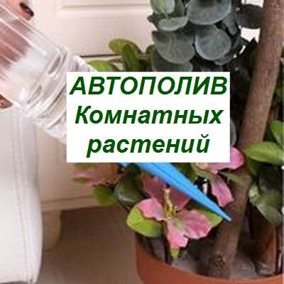 Автополив комнатных растений XPlants