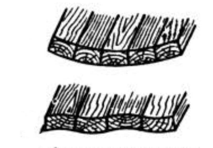 Расположение досок по годовым кольцам