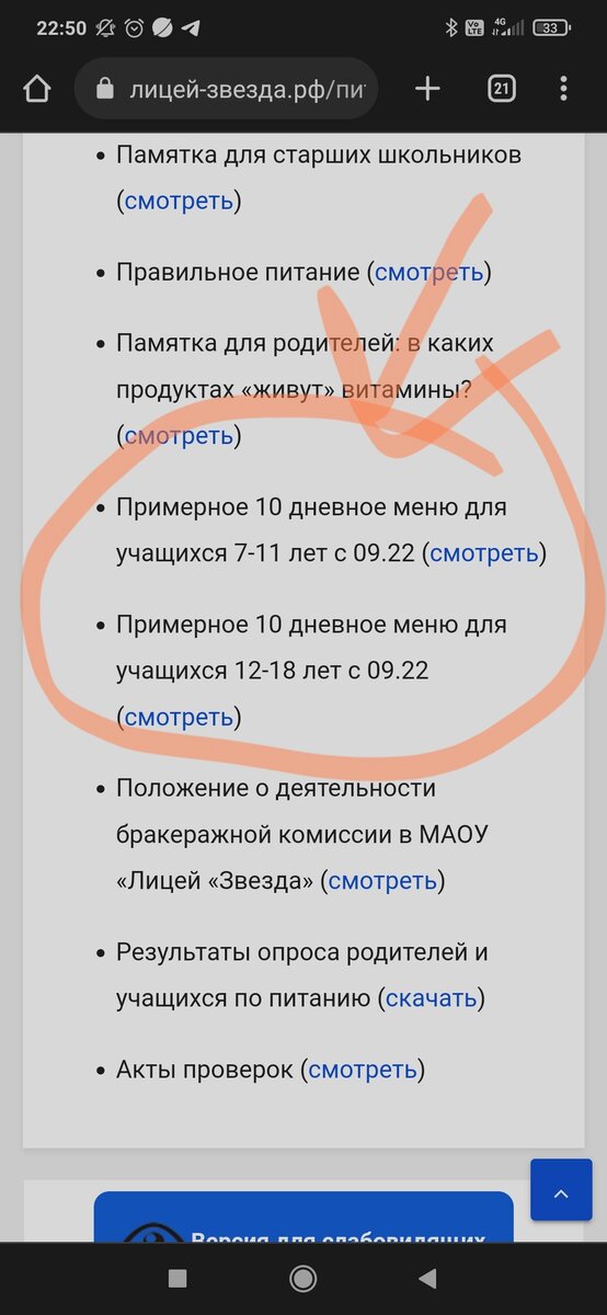 Сайт лицея Заезда, г.Саратов