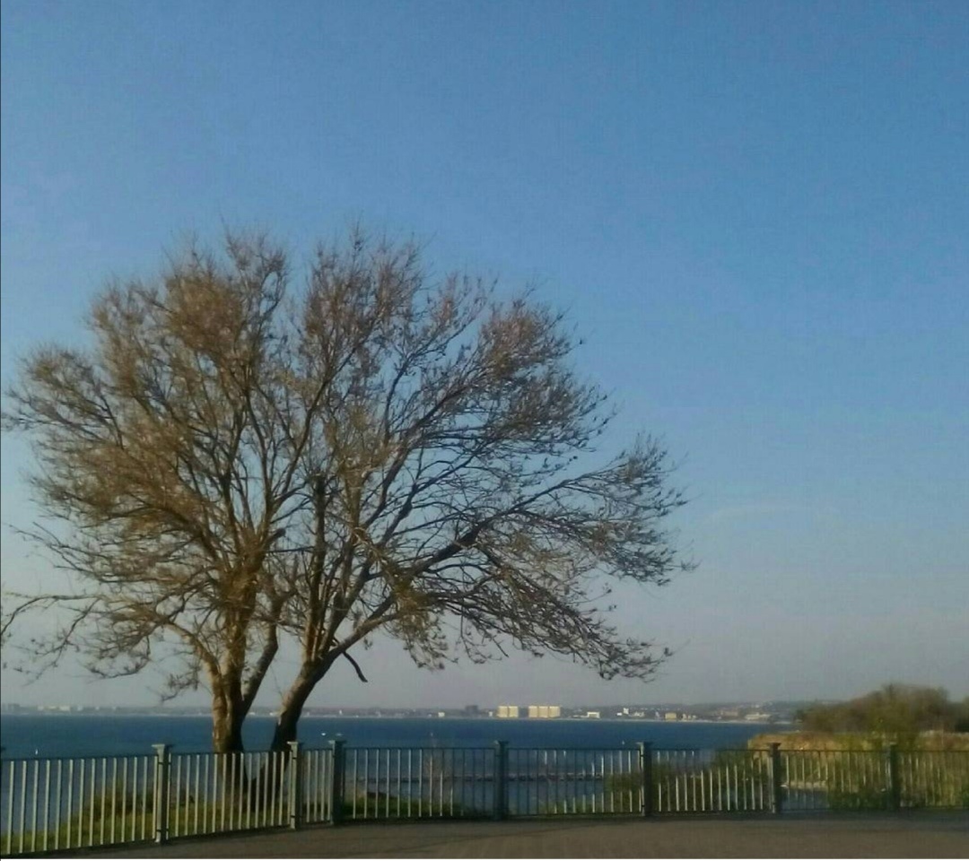 Фотография автора канала.