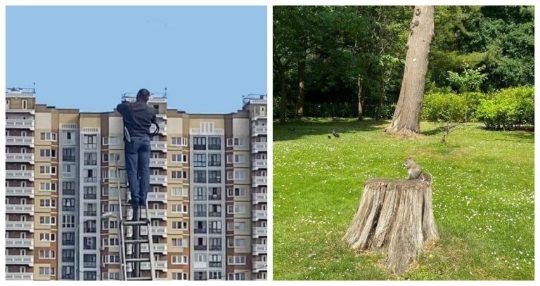 И снова илюзии...