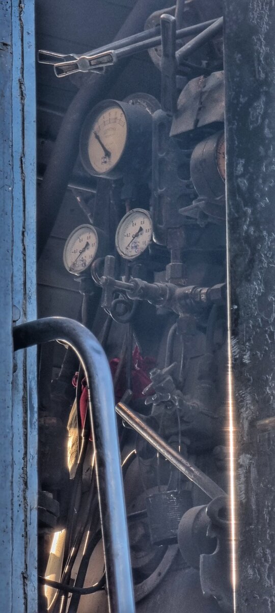 Фото: Алексей Алексеев