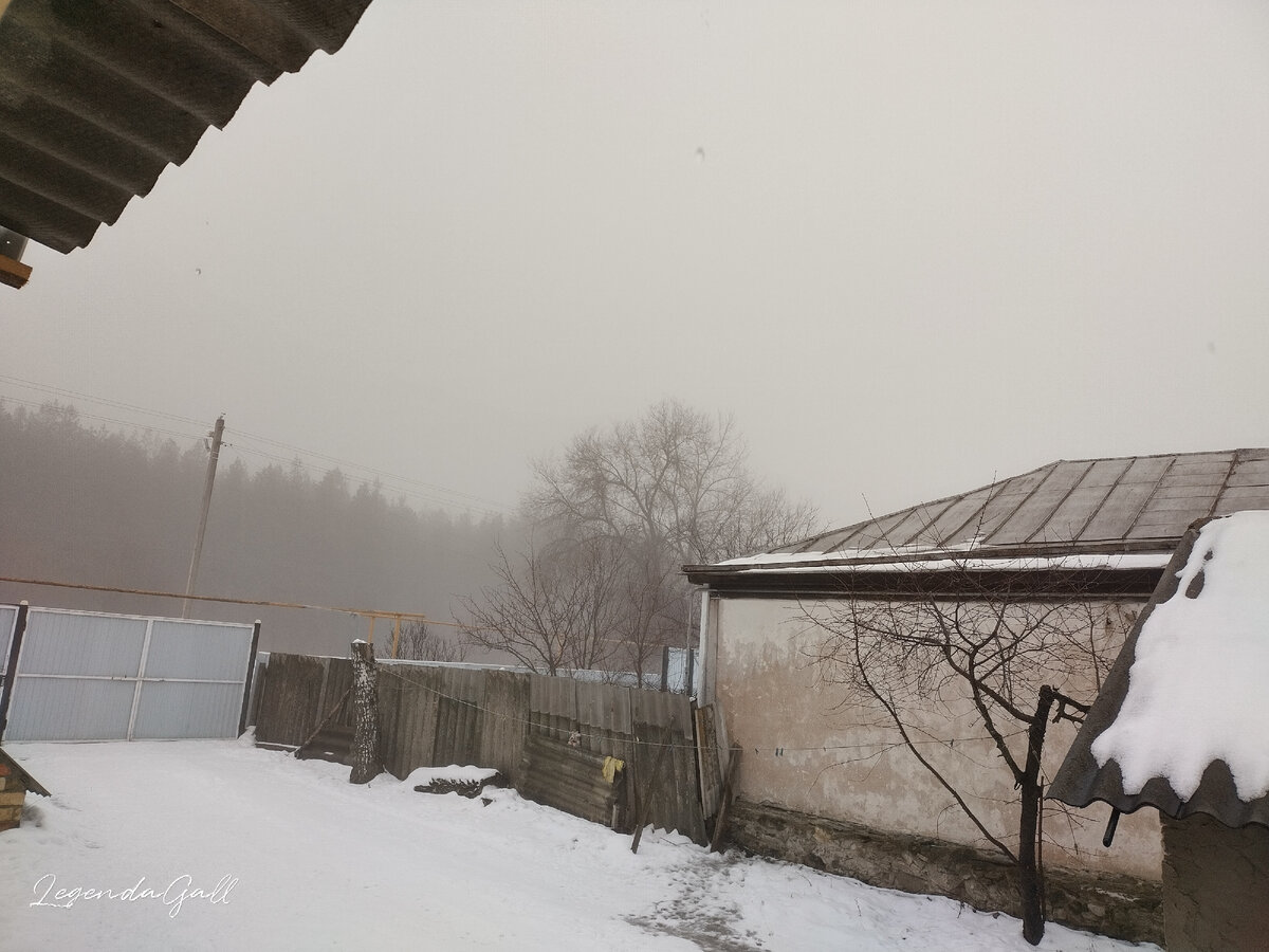 Лес еле угадывается