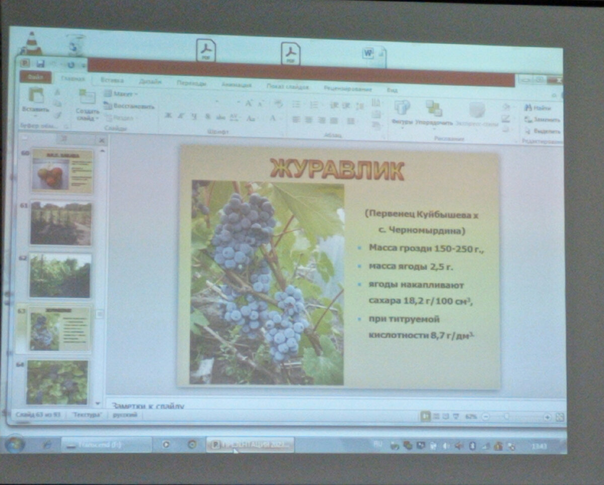 Журавлик, выдерживает - 32, хорош для соков и вина.