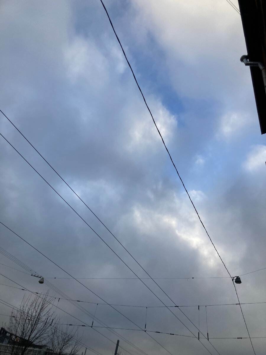 Синоптики говорят, что минувший январь был самым темным за последние 30 лет! А я вот даже солнце умудрилась сфотографировать 