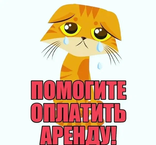 картинка из интернета