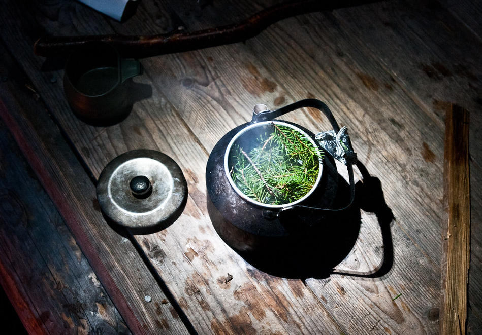Горячий лесной напиток и согреет, и ободрит, и организм подпитает.