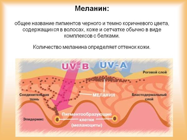 Я на солнышке лежу???