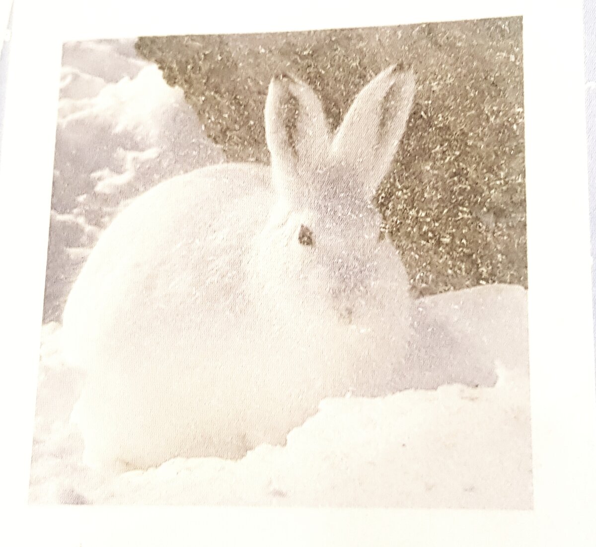 Заяц в снегу арт