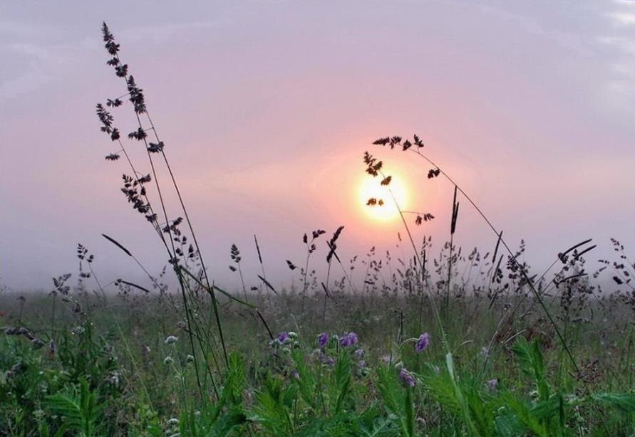 Фото – mycdn.me