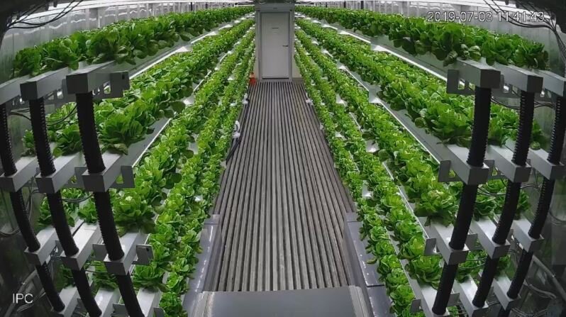 Внутренний вид Planty Cube
