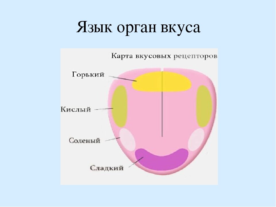 Вот такую картинку я помню из школьной программы. Листайте -