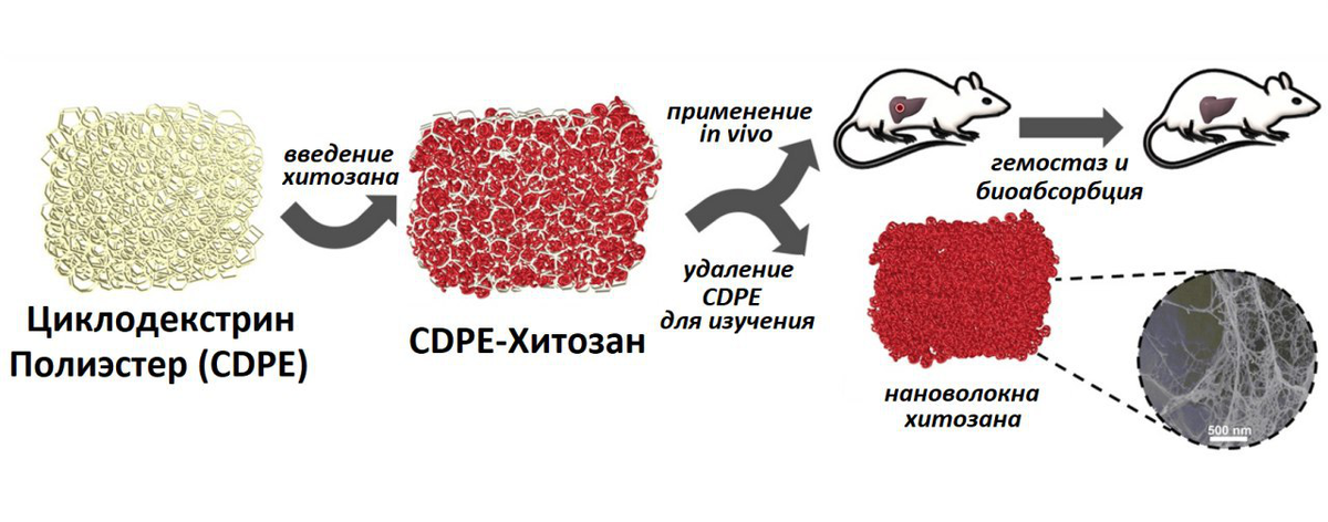 Схема получения композиционного материала из хитозана и дальнейшего его применения и изучения на электронном микроскопе