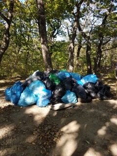 Столько мусора мы собрали