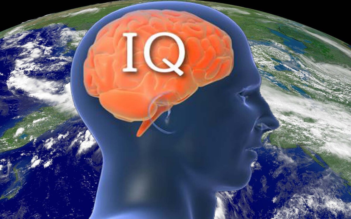 Iq года. IQ фото. Самый короткий тест на IQ. Шейн Фредерик тест на IQ. Дети с высоким IQ.