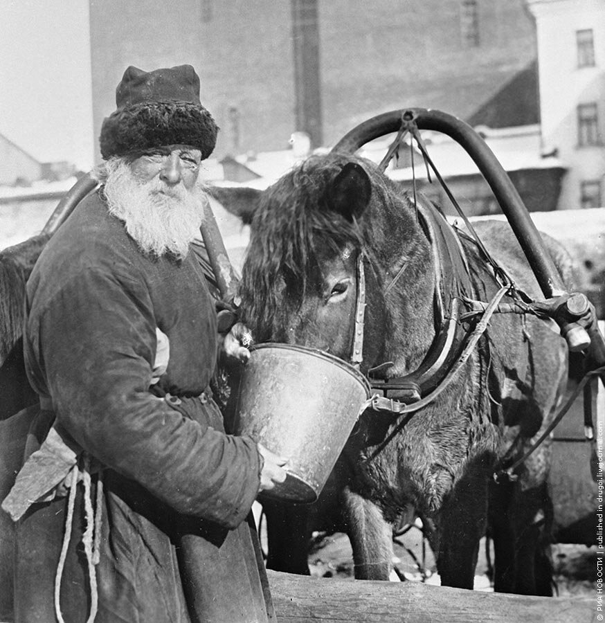 Извозчики и ямщики — «водители» повозок с пассажирами или грузом. Они сами запрягали и распрягали лошадей, отмывали и чинили экипаж.  