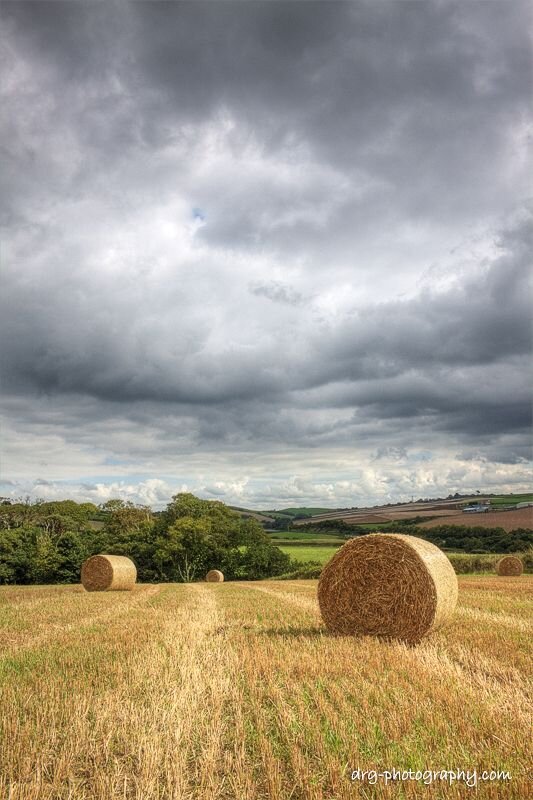 https://i.pinimg.com/736x/3a/06/ca/3a06ca0fc76639dc7d4c7851d621dec0--straw-bales-hay-bales.jpg