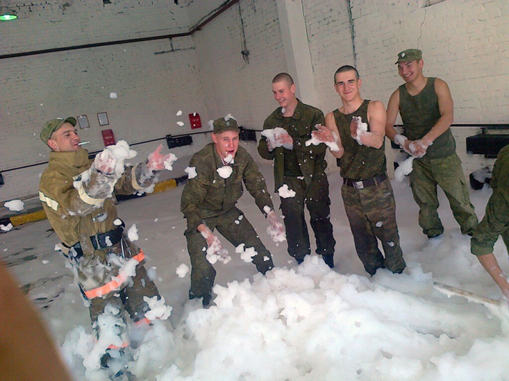 Фото поисковика картинки Яндекса.