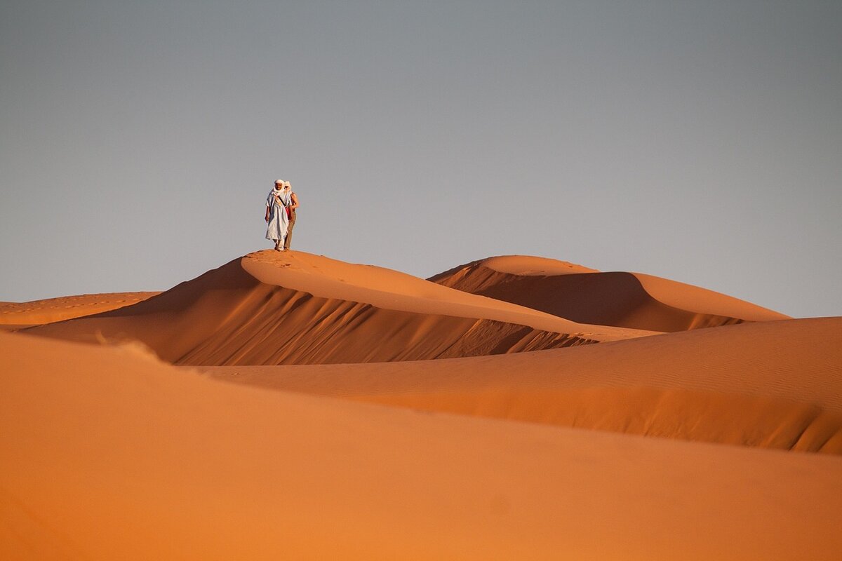 Как выжить в пустыне