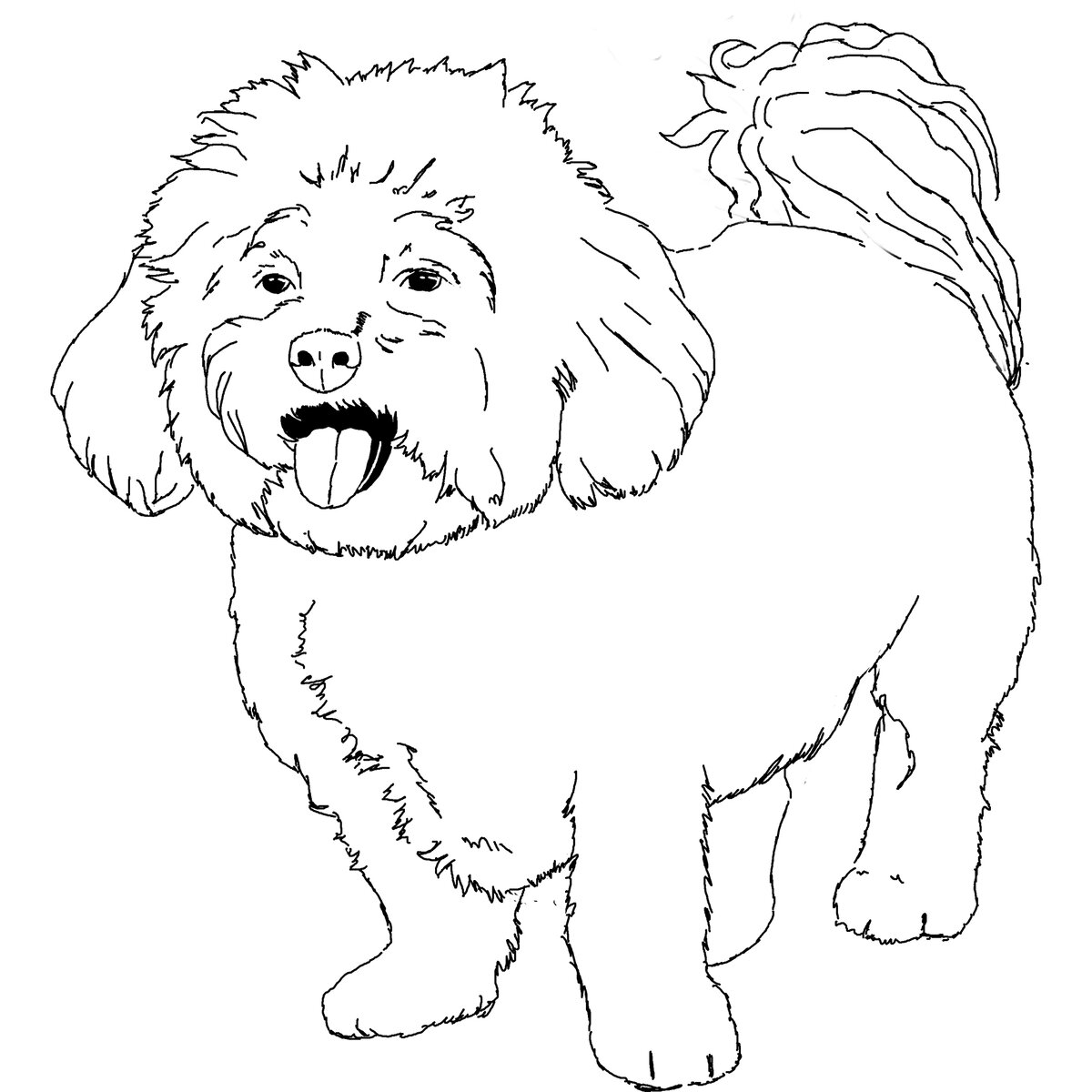 Традиционная раскраска. "Счастливый бишон". Да, бишон, это то ,что в СССР часто ошибочно называли болонкой. Это родственные породы, но немного разные.