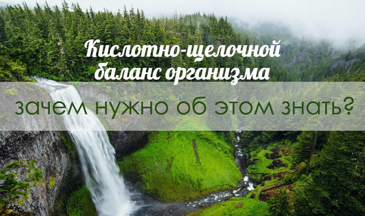 фото взято из интернета