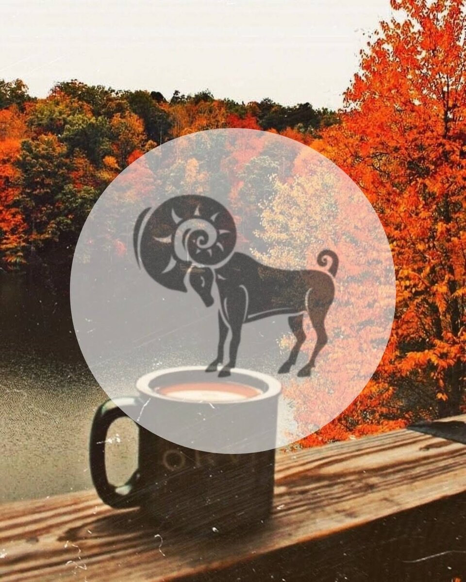 дзен гороскопы на каждый