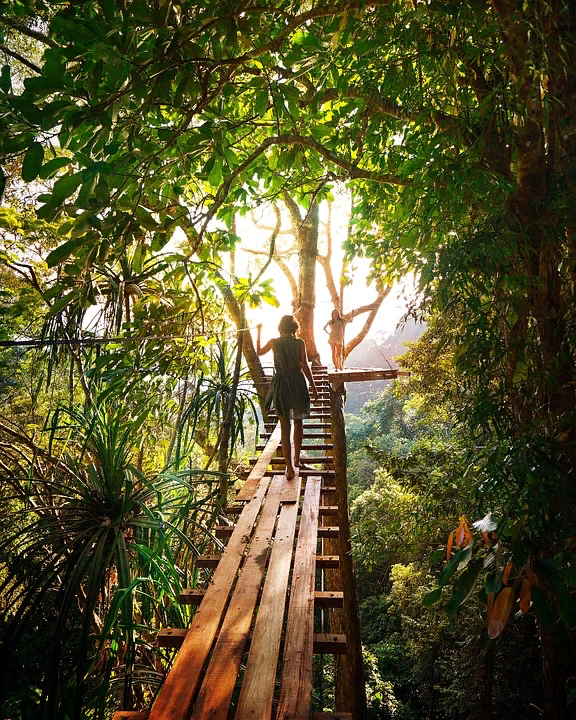 https://pixabay.com/photos/adventure-girls-green-jungle-light-2178313/
