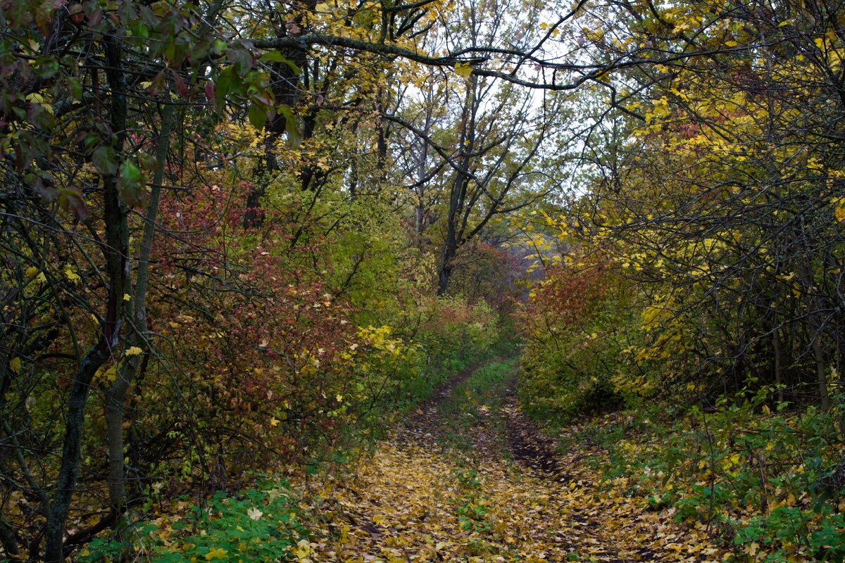 фото авторское
