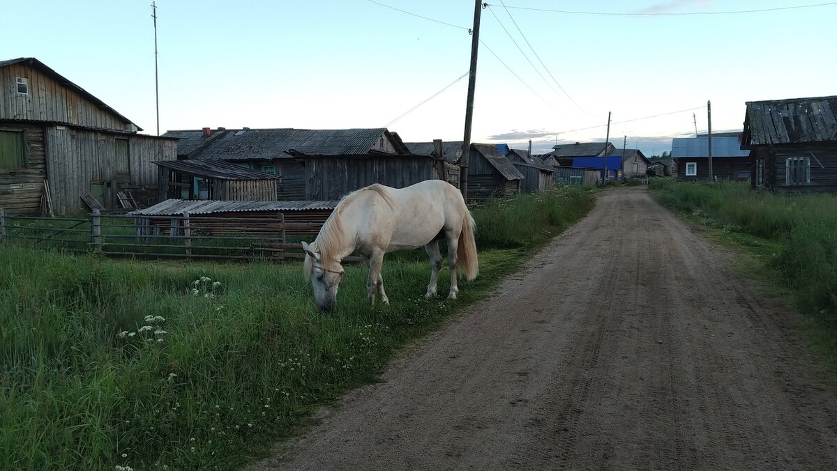 Село нюхча беломорского района история и фото