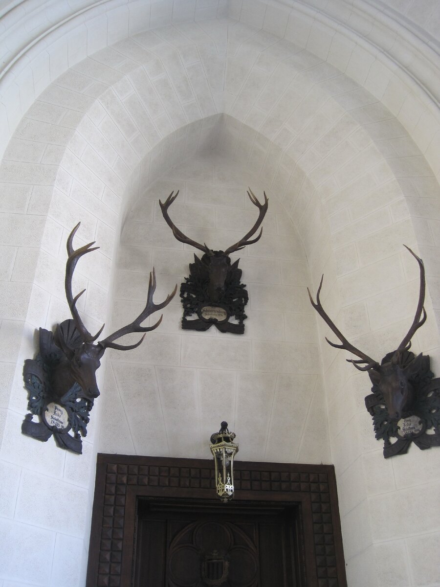 В каждом проеме и на всех внутренних стенах размещены трофеи владельцев замка и их гостей. Все подписаны: кто и когда убил данного оленя. Живности в окрестностях тогда водилось предостаточно.