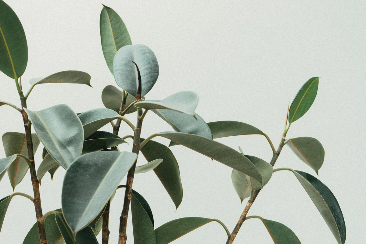 https://unsplash.com/photos/oRWRlTgBrPo