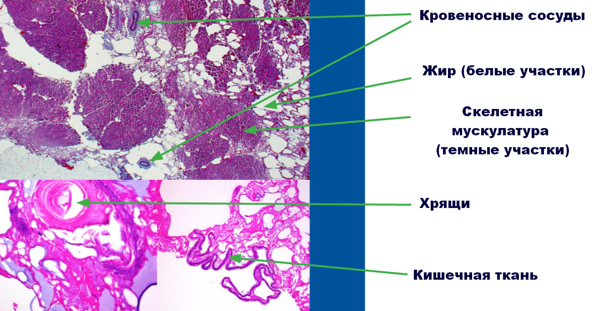Кусочек № 1