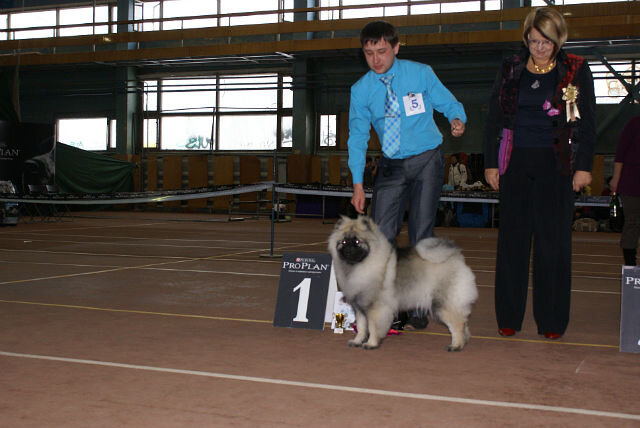 наше 1 место