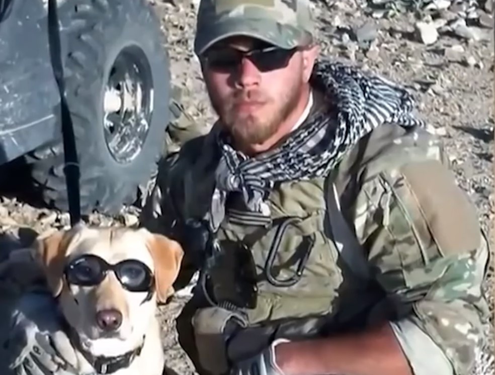 Источник: YouTube